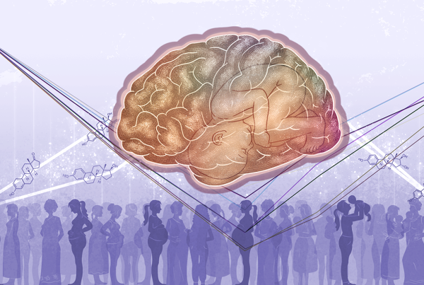 Pregnancy entails a U-shaped trajectory in human brain structure